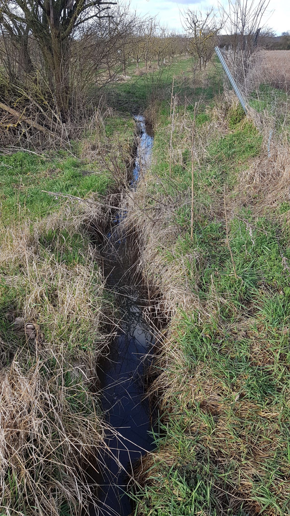 "Untermichelbacher Weitblick" - Wasserretentionsmaßnahmen