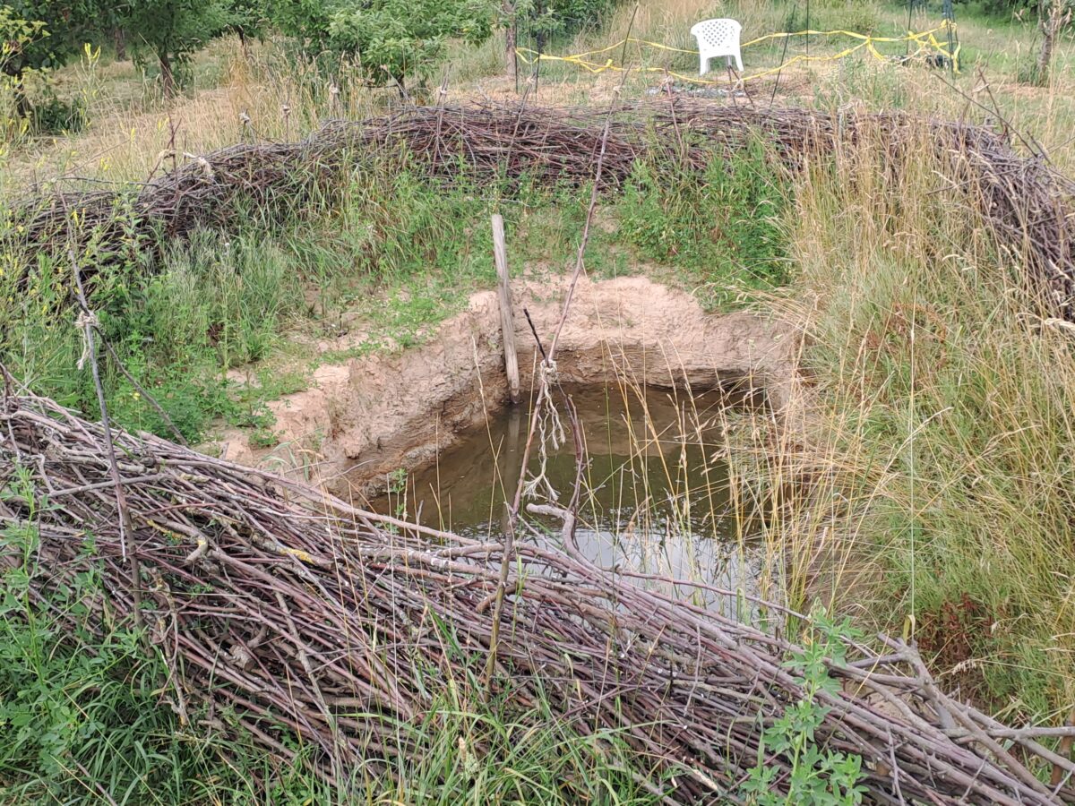Der obere "Teich" im Juli. Der Wasserstand im Winter reichte über die oberste Stufe hinaus.